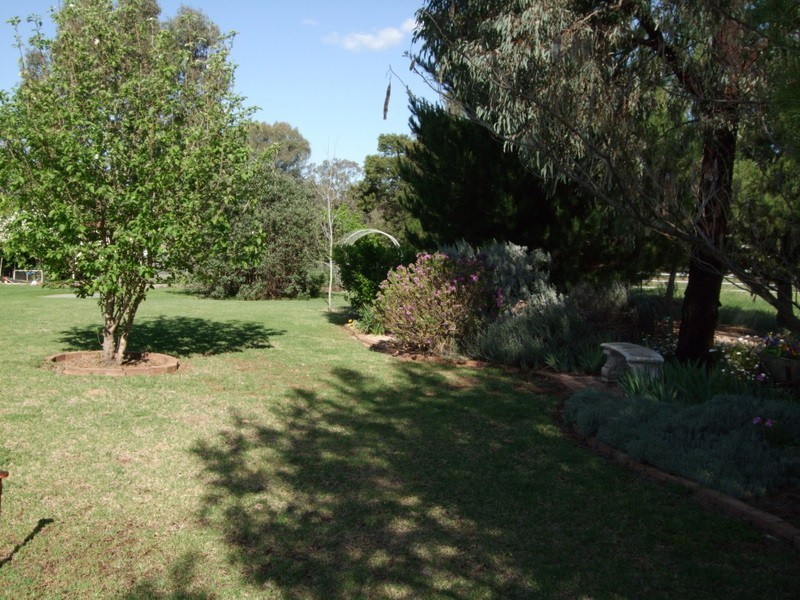 227 Nash Street, Parkes NSW 2870