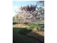 20 Coronation Avenue, Parkes NSW 2870
