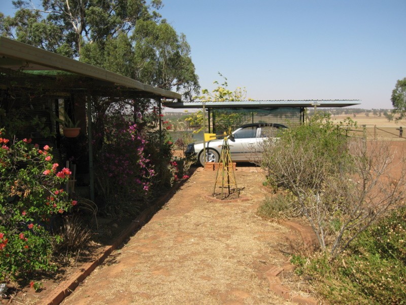 258 Cons Lane, Parkes NSW 2870