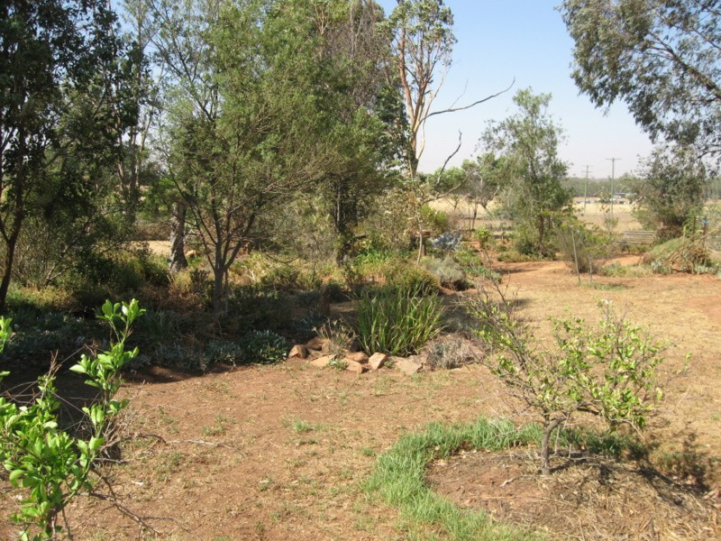 258 Cons Lane, Parkes NSW 2870