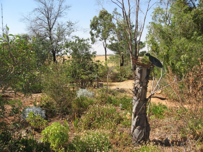 258 Cons Lane, Parkes NSW 2870