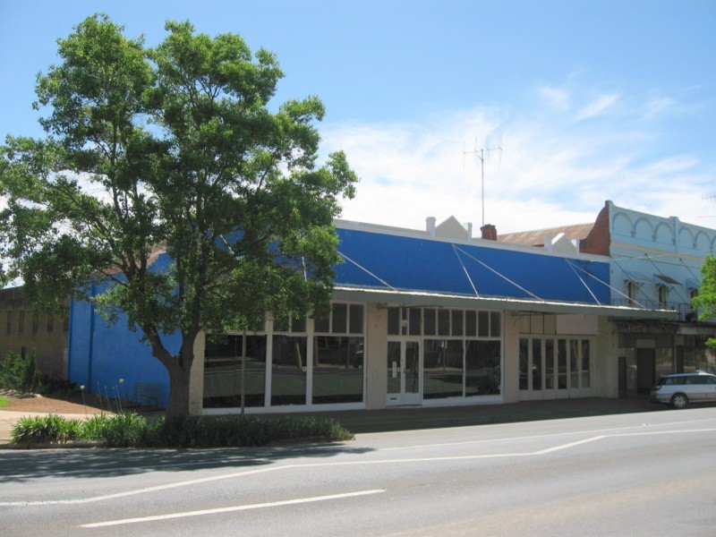 96 Caswell Street, Peak Hill NSW 2869