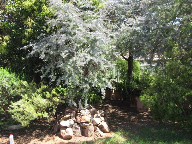 65 Farrer Street, Parkes NSW 2870