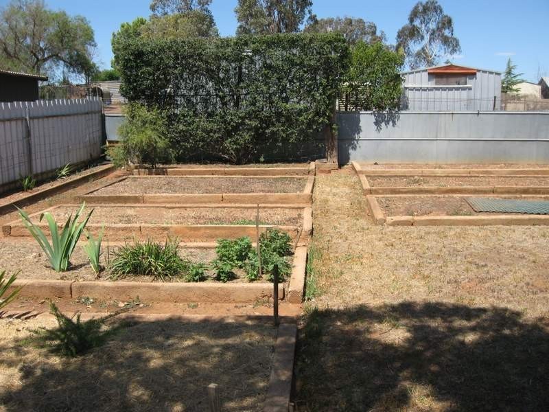 65 Farrer Street, Parkes NSW 2870