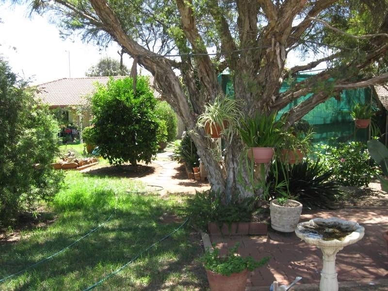 65 Farrer Street, Parkes NSW 2870