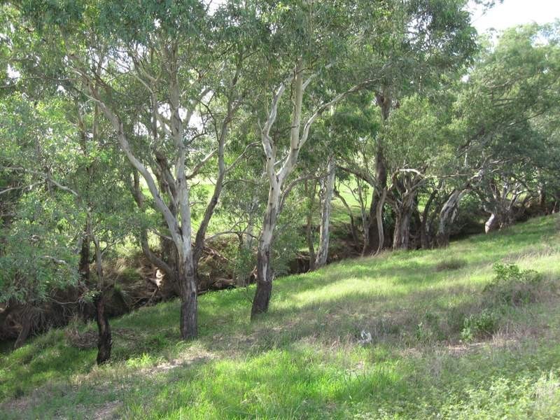 Lot 2 Nash Street, Parkes NSW 2870