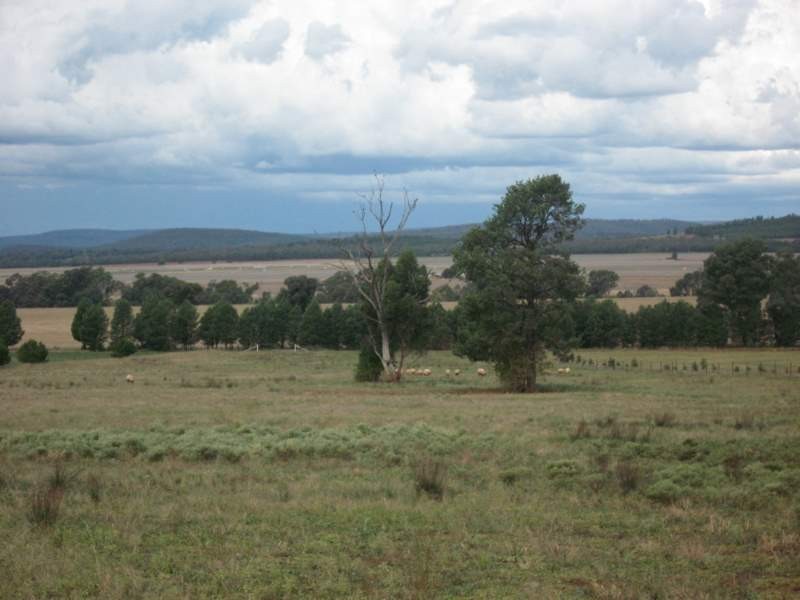 Lot 8 Wellington Road, Parkes NSW 2870