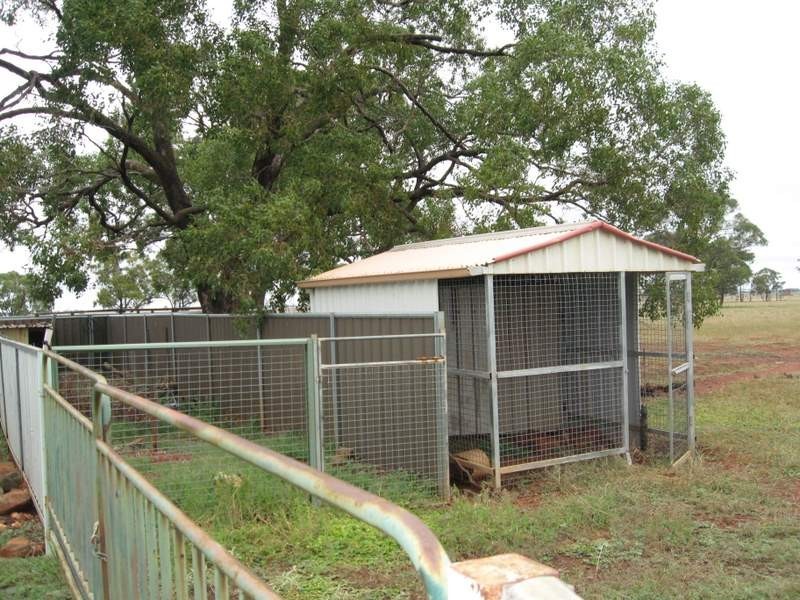 123 Railway Parade, Peak Hill NSW 2869