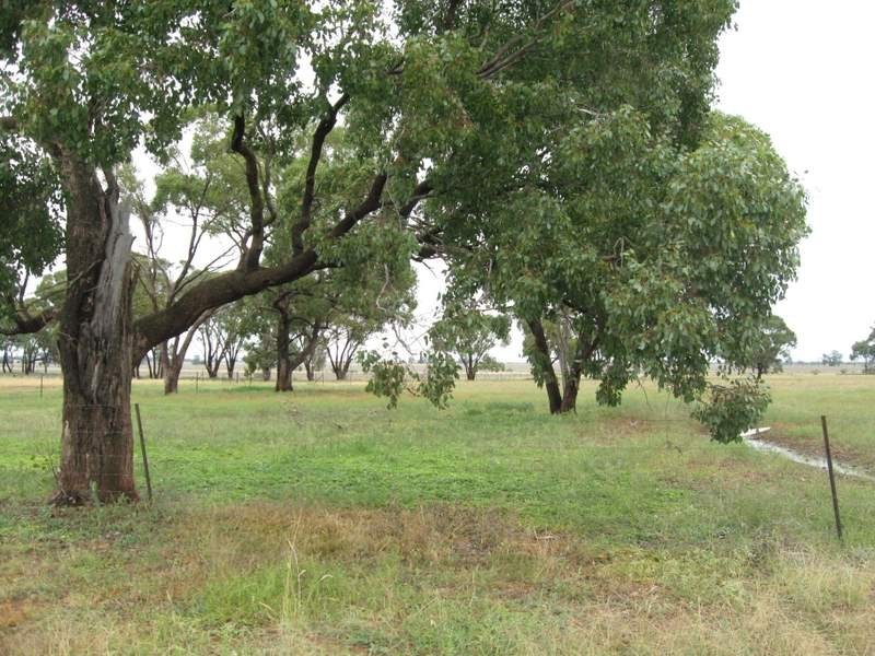 123 Railway Parade, Peak Hill NSW 2869