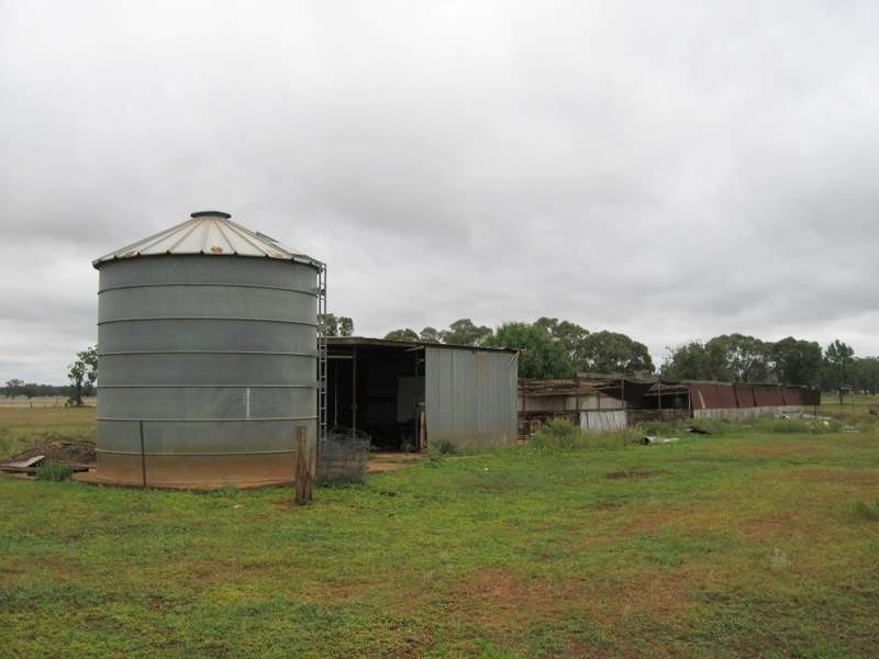 123 Railway Parade, Peak Hill NSW 2869