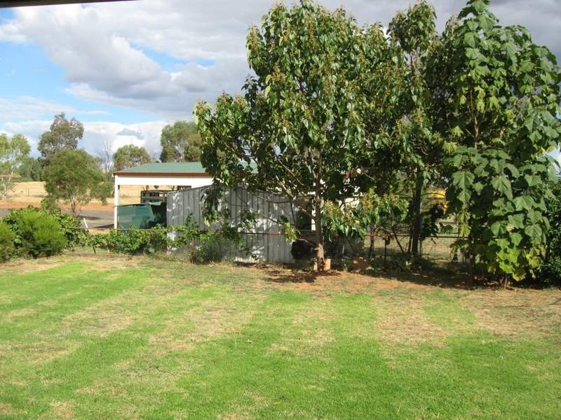 357 Condobolin Road, Parkes NSW 2870