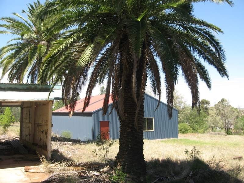 Lot 469 Caswell Street, Peak Hill NSW 2869