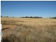 Lot 5 Back Trundle Road, Parkes NSW 2870
