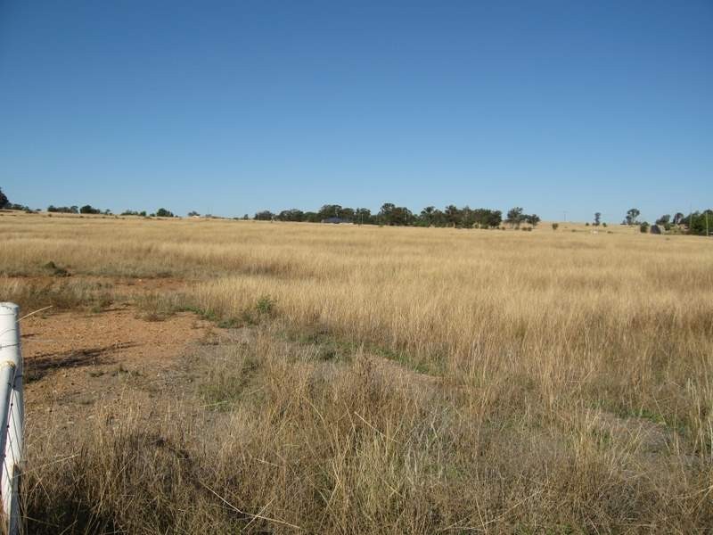 Lot 5 Back Trundle Road, Parkes NSW 2870