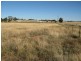 Lot 5 Back Trundle Road, Parkes NSW 2870