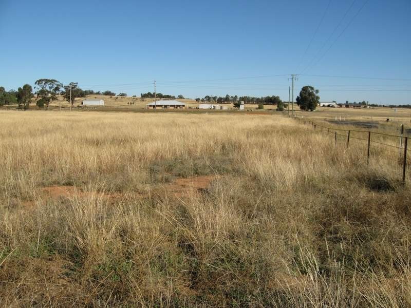 Lot 5 Back Trundle Road, Parkes NSW 2870