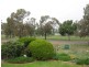 43 Lachlan Street, Bogan Gate NSW 2876