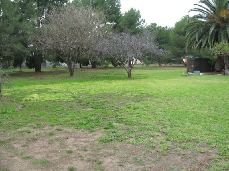 Lot 2 Mullins Street, Cookamidgera NSW 2870