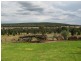 109 Staircase Road, Mandagery NSW 2870