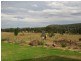 109 Staircase Road, Mandagery NSW 2870