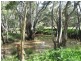 269 Watts Lane, Tichborne NSW 2870