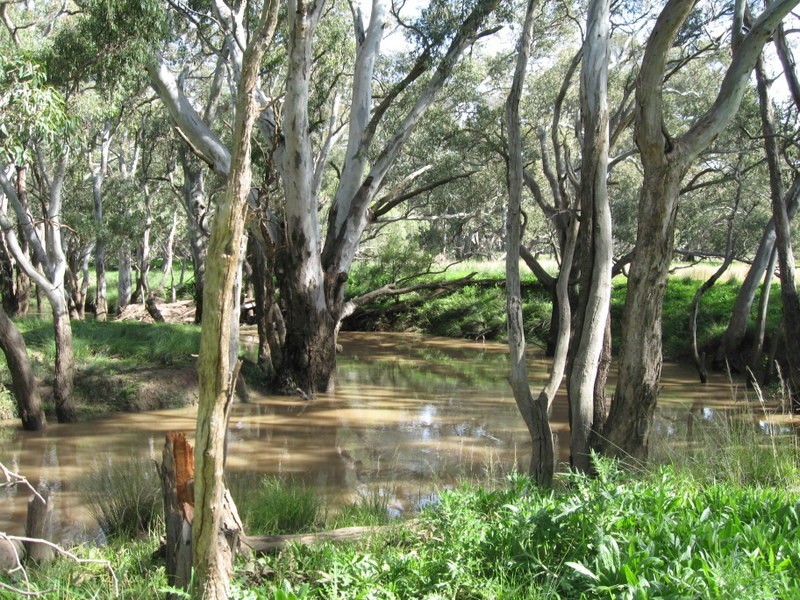 269 Watts Lane, Tichborne NSW 2870