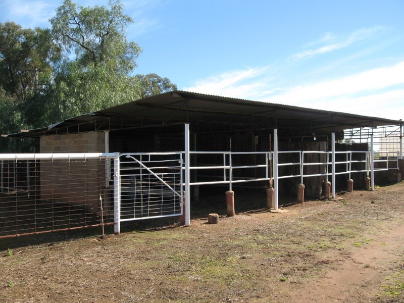269 Watts Lane, Tichborne NSW 2870