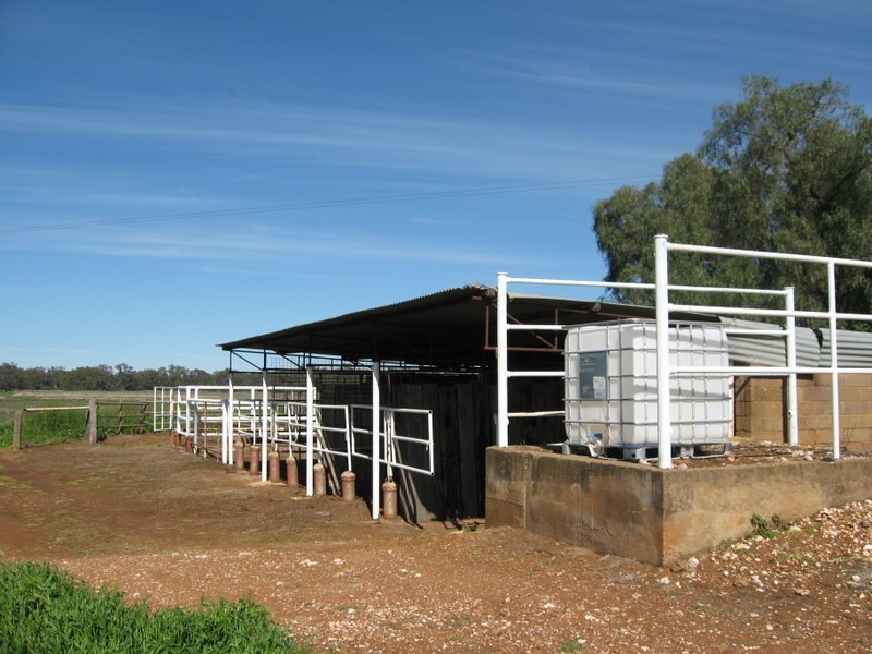 269 Watts Lane, Tichborne NSW 2870