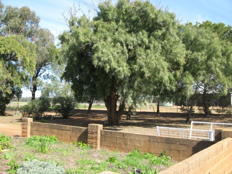 269 Watts Lane, Tichborne NSW 2870