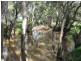 269 Watts Lane, Tichborne NSW 2870