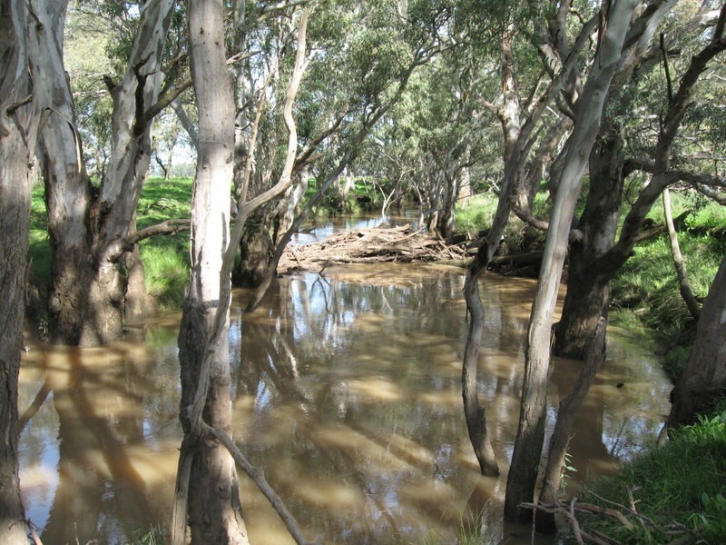269 Watts Lane, Tichborne NSW 2870