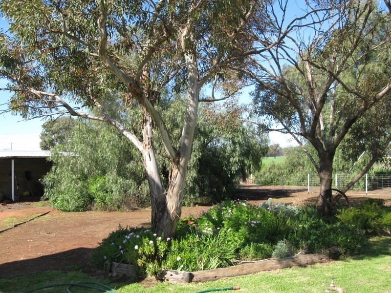 269 Watts Lane, Tichborne NSW 2870
