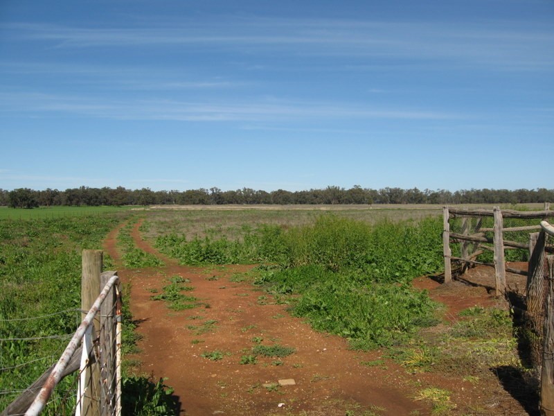 269 Watts Lane, Tichborne NSW 2870