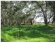 269 Watts Lane, Tichborne NSW 2870