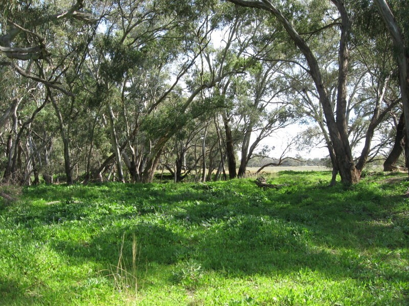269 Watts Lane, Tichborne NSW 2870