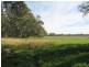 269 Watts Lane, Tichborne NSW 2870