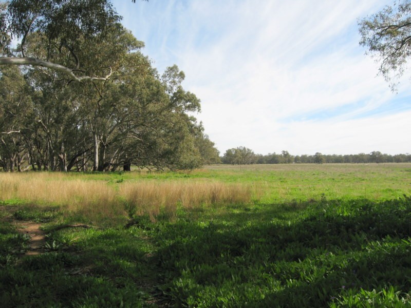 269 Watts Lane, Tichborne NSW 2870