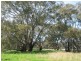 269 Watts Lane, Tichborne NSW 2870