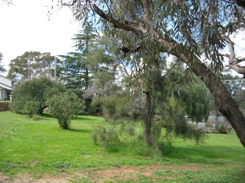 14  Molong Road, Parkes NSW 2870