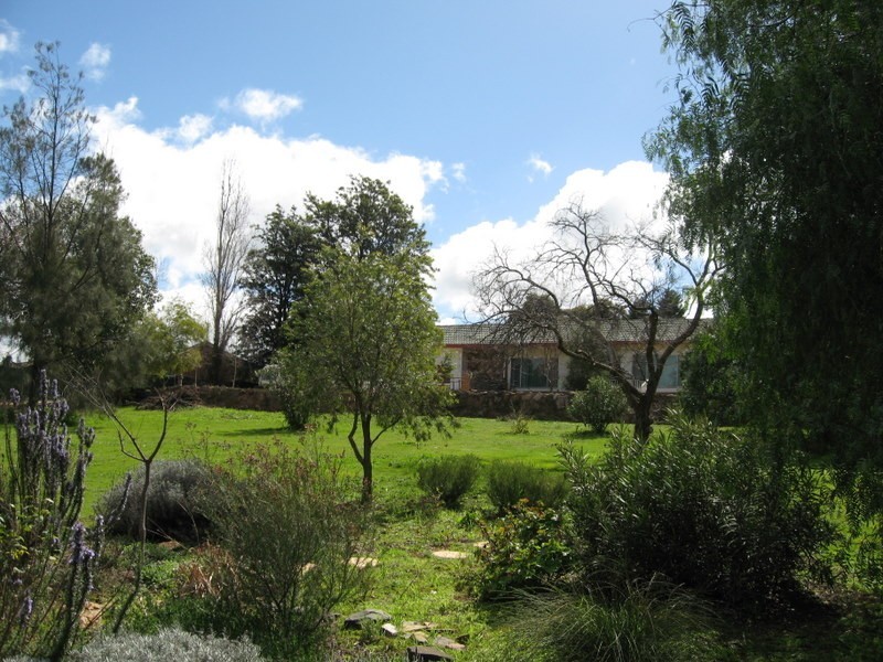 14  Molong Road, Parkes NSW 2870