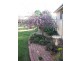 20 Coronation Avenue, Parkes NSW 2870