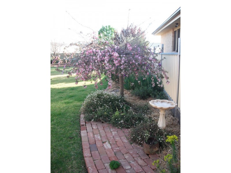 20 Coronation Avenue, Parkes NSW 2870