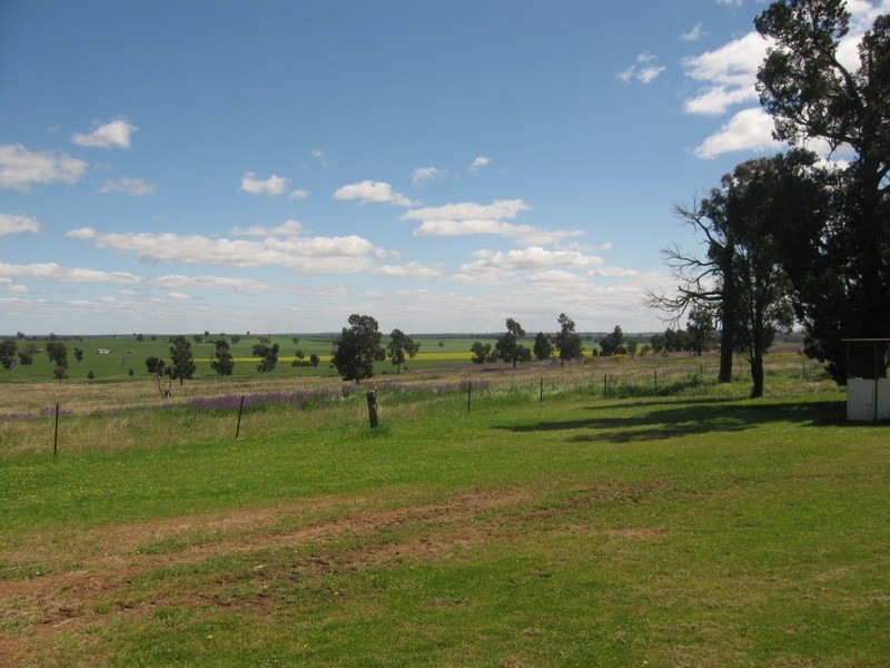 Alectown NSW 2870