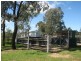 Alectown NSW 2870