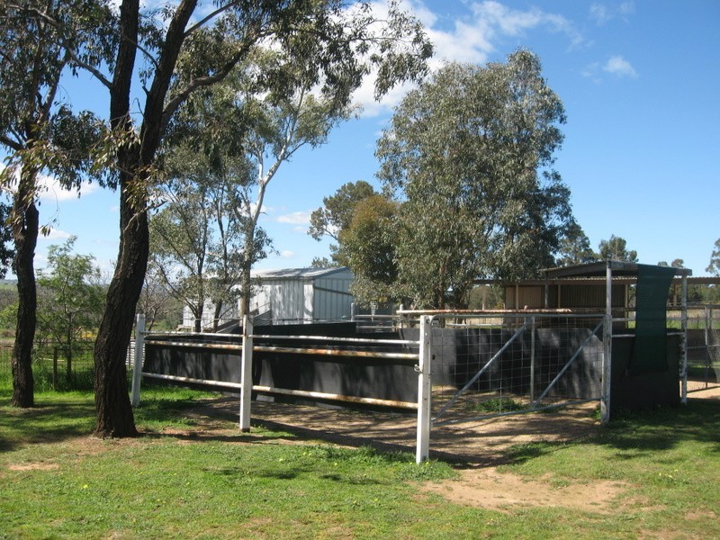 Alectown NSW 2870