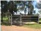 Alectown NSW 2870