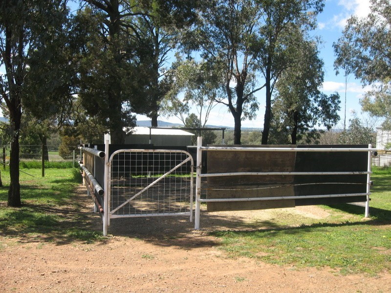 Alectown NSW 2870
