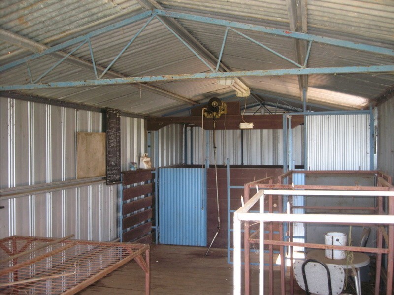 Alectown NSW 2870