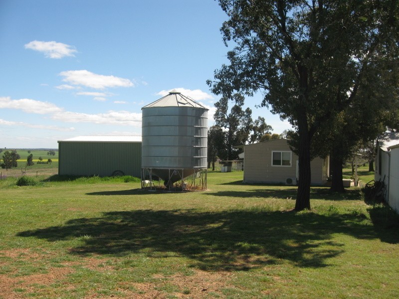 Alectown NSW 2870