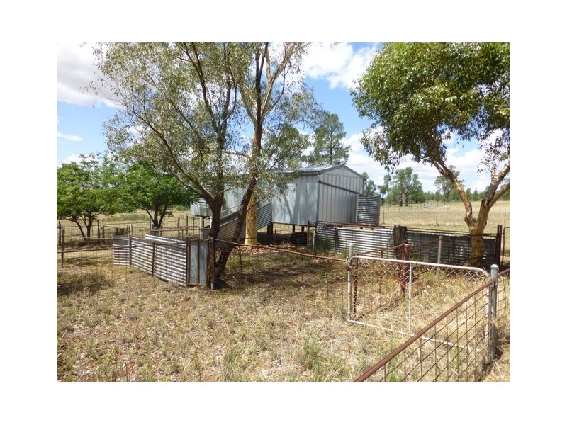 Alectown NSW 2870